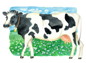 Cow against the background with green field