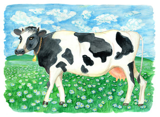 Cow on the green field with daisy flowers