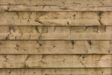 Naklejka premium Wood texture