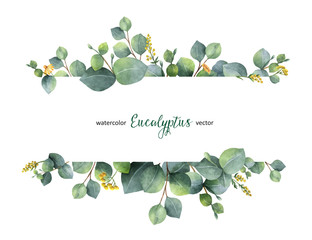 Watercolor vector green floral banner with silver dollar eucalyptus leaves and branches isolated on white background. - obrazy, fototapety, plakaty
