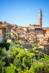 Obraz premium Cityscape of Siena, aerial view with the Torre del Mangia, Tuscany, Italy