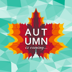 Autumn is coming background template with bright leaves. Vector illustration