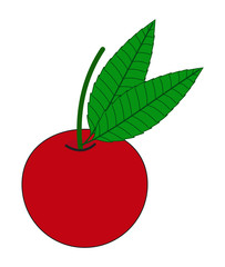 Cherry Icon Vector