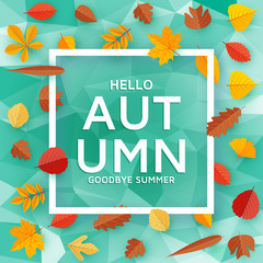 Hello Autumn goodbye summer background template with bright leaves. Vector illustration