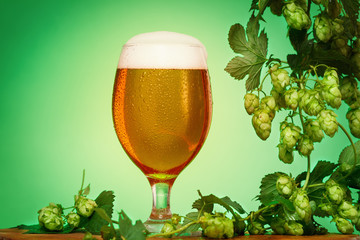 Oktoberfest beer glass hops on green background.