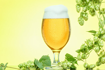 Oktoberfest beer glass hops on yellow background.