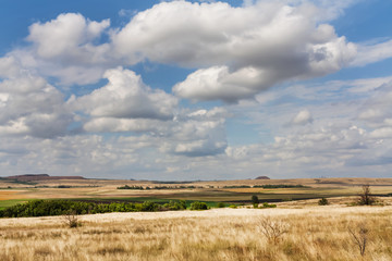 Summer landscape in Ukrainian steppe with dry yellow grass under a blue sky with clouds