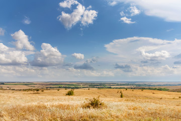 Summer landscape in Ukrainian steppe with dry yellow grass under a blue sky with clouds