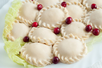 Frozen dumplings on the white plate with green