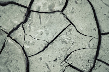 Obraz premium Closeup of dry soil. Dry cracked earth texture. Gray-green toned