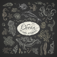 Obraz premium Vector set of chalk wild animals and plants.