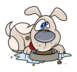 Cute Puppy Eating Food