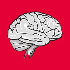 Brain vector illustration