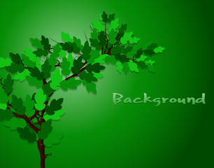 Abstract Green Leaves Nature Background