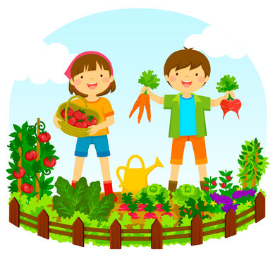 Two Kids Picking Vegetables In A Vegetable Garden