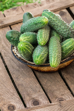 Fresh cucumbers on a wooden table.