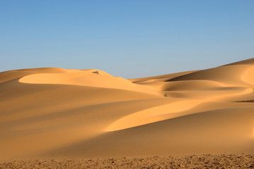Fototapeta na wymiar dunes au Sahara