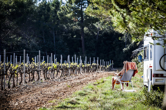Vineyards in Provence France