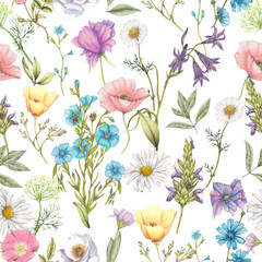 Seamless pattern of hand drawn wildflowers - obrazy, fototapety, plakaty