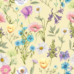 Seamless pattern of hand drawn wildflowers