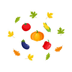 Fall, autumn harvest set - pumpkin, corn, eggplant, bell pepper, tomato, oak and maple leaves, cartoon vector illustration isolated on white background. Cartoon falling leaves and ripe vegetables