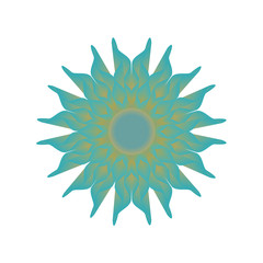 Blue and yellow flower isolated on white background