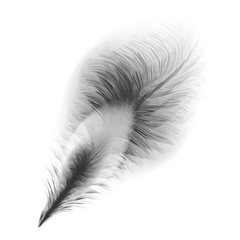 Obraz premium A vector illustration of an old quill and ink.Feather Quill and ink.A retro image of a writing with quill icon.