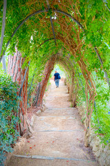 The garden of Gaudí House Museum, located within the Park Güell in Barcelona