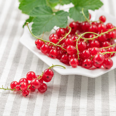 Redcurrants on plate over striped textile background