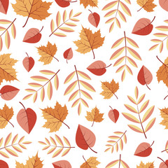 Fototapeta premium Seamless pattern with autumn leaves on a white background