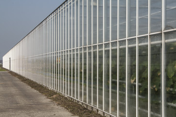 Obraz premium Glass houses