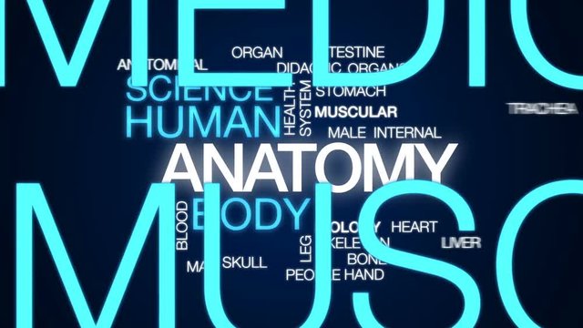Anatomy animated word cloud, text design animation.