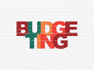 Business concept: Budgeting on wall background