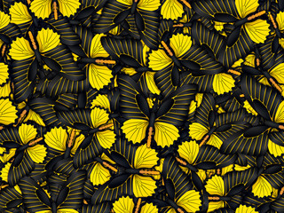 Obraz na płótnie Canvas Seamless pattern with lot of different butterflys