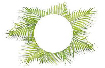 Fototapeta na wymiar Tropical palm leaves with white paper on white background. Minimal nature. Summer Styled. Flat lay. Image is approximately 5500 x 3600 pixels in size