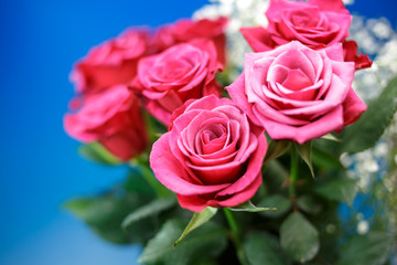 薔薇の花