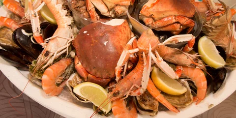 Foto auf Acrylglas Meeresfrüchte Close up of delicious fresh seafood platter
