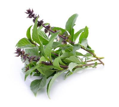 Thai Basil