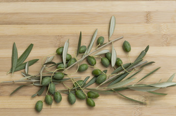Aceitunas con rama.
Detalle de la formación de las aceitunas en las ramas.
