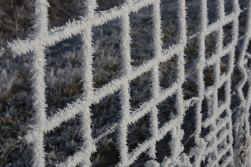 Reif am Zaun im Winter
