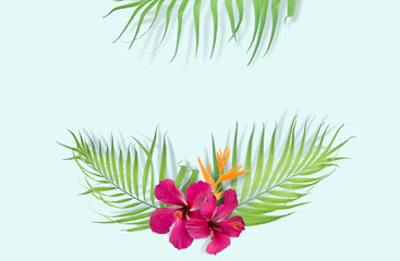 Tropical palm leaves on light blue background. Minimal nature. Summer Styled.  Flat lay.  Image is approximately 5500 x 3600 pixels in size