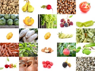 collage of a various fruits and vegetables