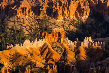 Bright red formations in Bryce Canyon,Utah, under warm evening light