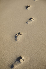 Footprints on beach in sand, close up