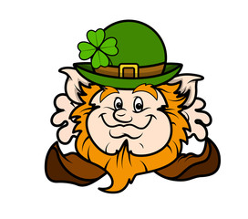 Dwarf Leprechaun Face Expression