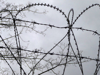 Stacheldrahtzaun
Ein Stacheldrahtzaun vor nebeligem Hintergrund.
