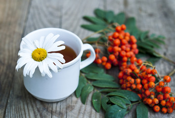 Cup of tea and a branch of mountain ash on a wooden table, yellow leaves concept of autumn, mood and coziness.