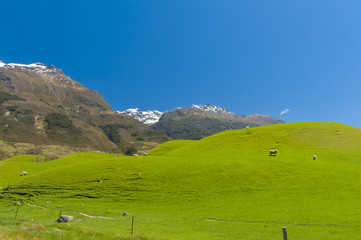Fototapeta na wymiar New Zealand mountains
