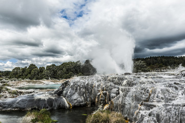 Pohutu and Prince of Wales geysers