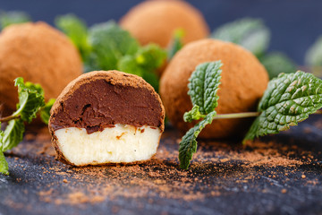 truffle chocolate candy with vanilla and chocolate filling